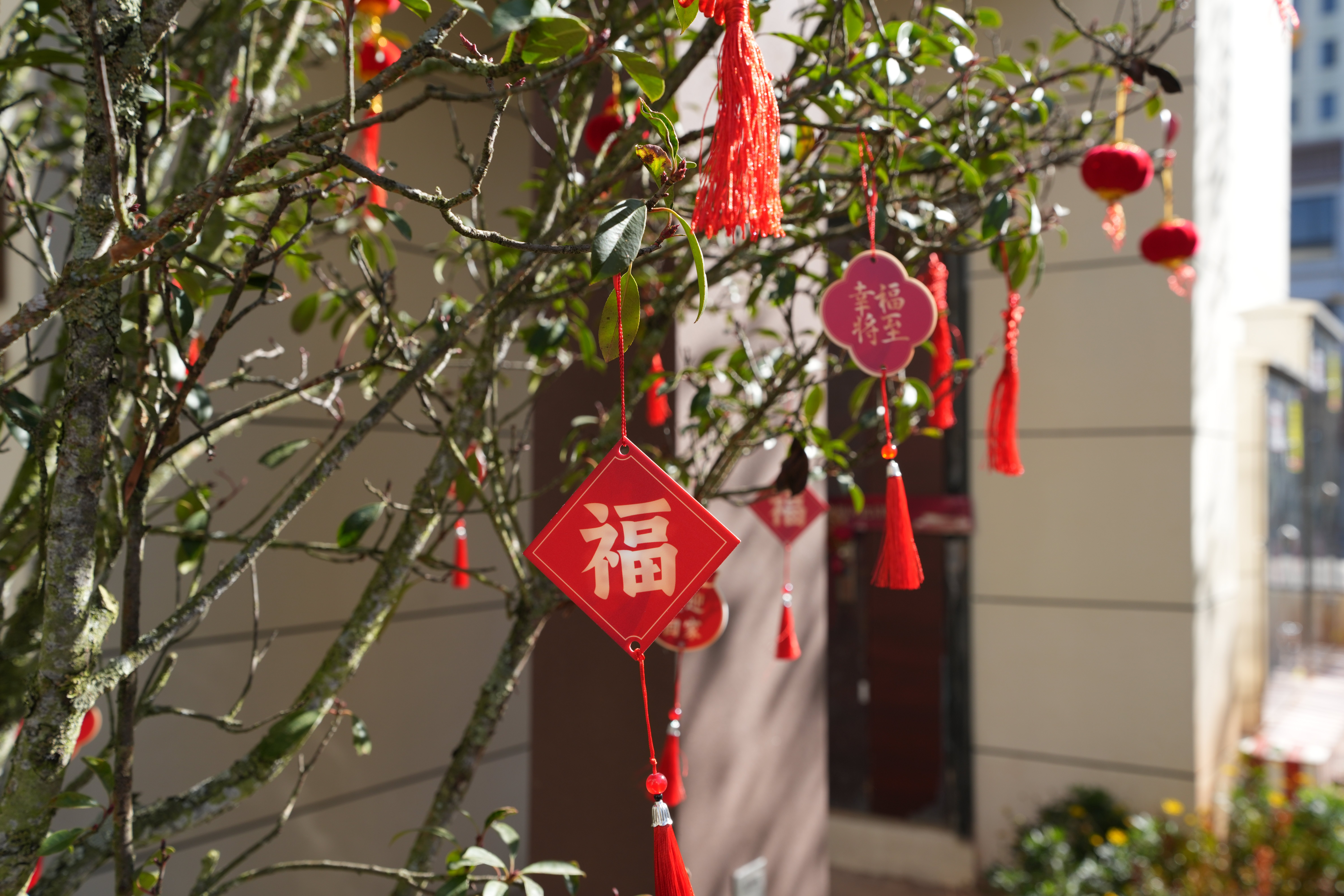 DSC00062_副本.jpg